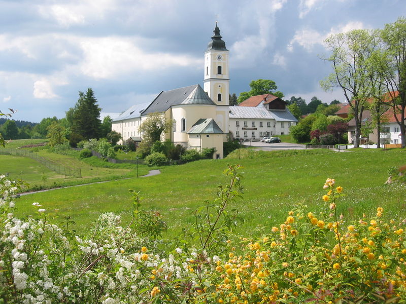 St.Oswald von Northumbria ein unbekannter Heiliger